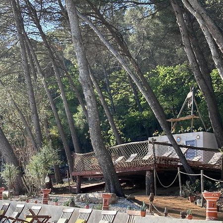 Le Castel De Fies Solliès-Pont Exterior foto