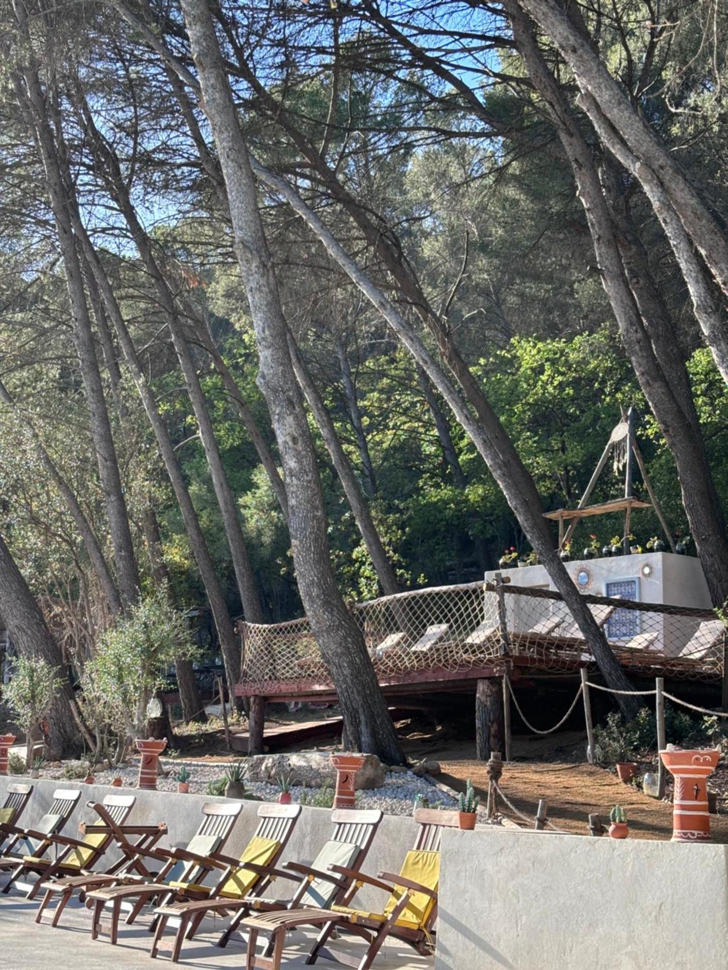 Le Castel De Fies Solliès-Pont Exterior foto